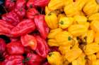 Vienna, Austria. Hot habaneros at the Naschmarkt Art Print
